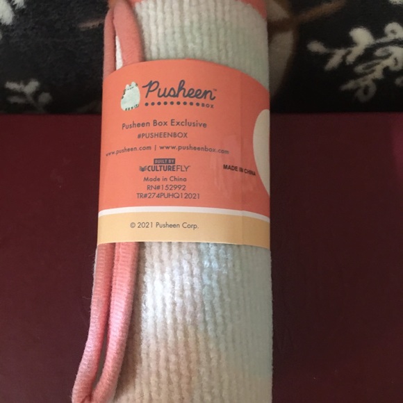 Pusheen floor mat spring 2021 exclusive - Picture 3 of 3